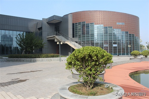 《大树校园行》之河南财政金融学院(象湖校区)