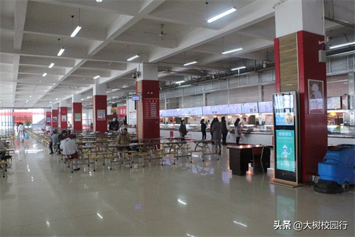 《大树校园行》之河南财政金融学院(象湖校区)