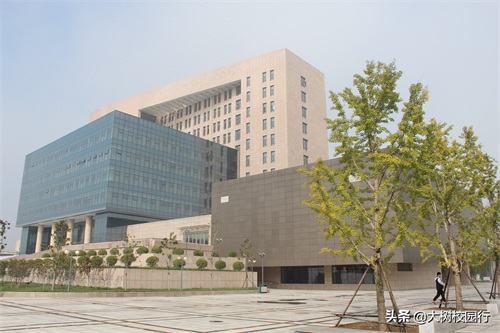 《大树校园行》之河南财政金融学院(象湖校区)