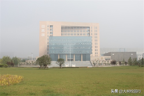 《大树校园行》之河南财政金融学院(象湖校区)