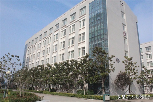 《大树校园行》之河南财政金融学院(象湖校区)