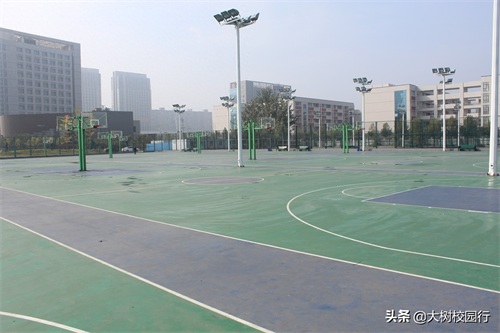 《大树校园行》之河南财政金融学院(象湖校区)