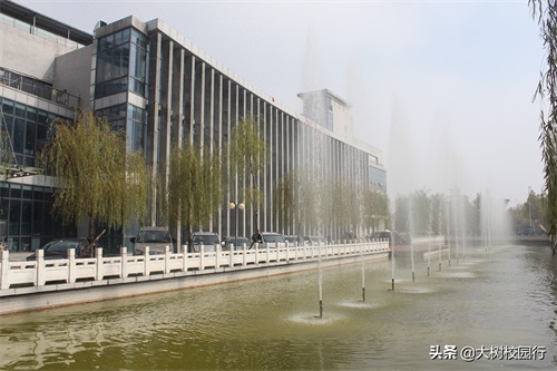 《大树校园行》之河南财政金融学院(象湖校区)