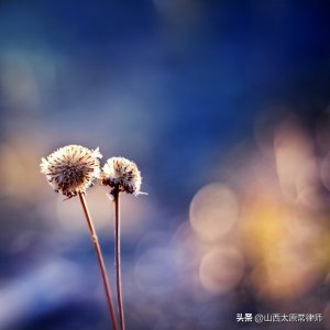 ​离婚协议书（范本）