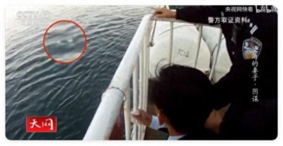 ​热搜第一的辽宁推妻坠海案：那个妻子欣喜地走入自己的死局