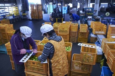 ​回农村创业，哪些小本生意最适合农民做？这5个项目不要错过！