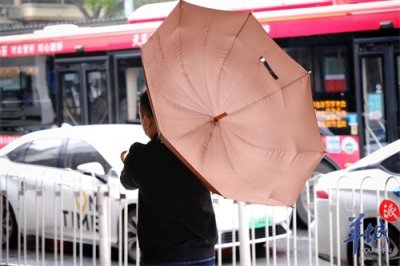 ​「图集」风中凌乱！“圆规”今晨携风带雨送秋意