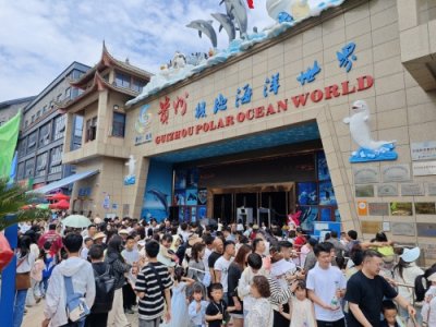 ​多彩贵州城极地海洋世界单日客流超8000人次