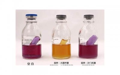 ​关于“丁丁起立”的小秘密，今天全都告诉你