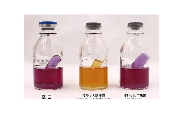 关于“丁丁起立”的小秘密,今天全都告诉你 关于“丁丁起立”的小秘密,今天全都告诉你