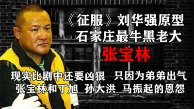 ​河北最牛黑老大张宝林，《征服》刘华强的原型，为弟弟疯狂报复