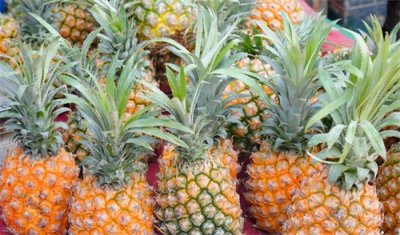 ​菠萝和凤梨的价格差别很大，但都是同一种水果，区别在哪里呢？