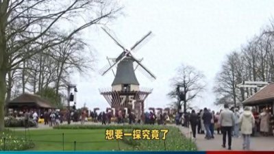 ​荷兰地铁美女大揭秘：开放与自信并存