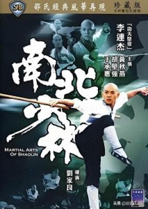 ​重温经典 <南北少林>，70、80 后男人的热血回忆！