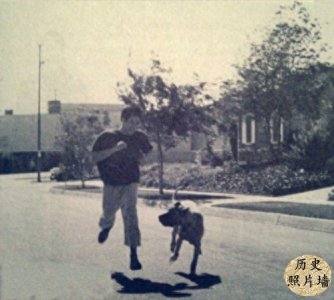 ​一组李小龙训练旧照，告诉你他为什么这么厉害！图九正在电击训练