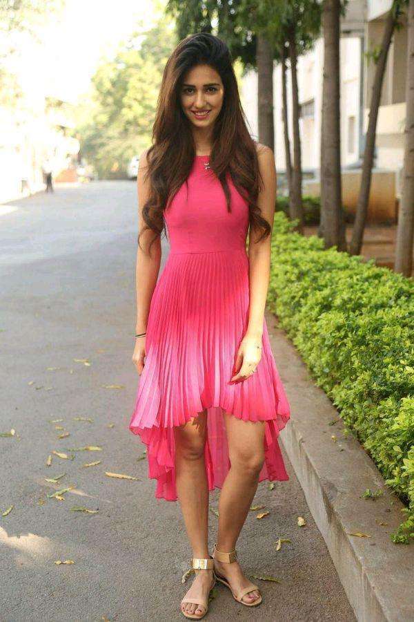 迪莎·帕塔尼个人资料写真作品