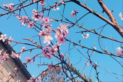 ​不是迷信！今年二月初一不一般，77年不遇，3大特点，有啥预兆