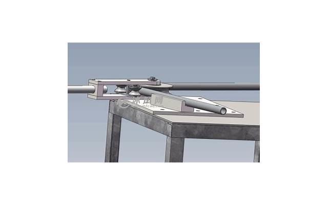 俗话说“家有旺财树，儿女一直富”，这4种都是有钱人最爱养的！