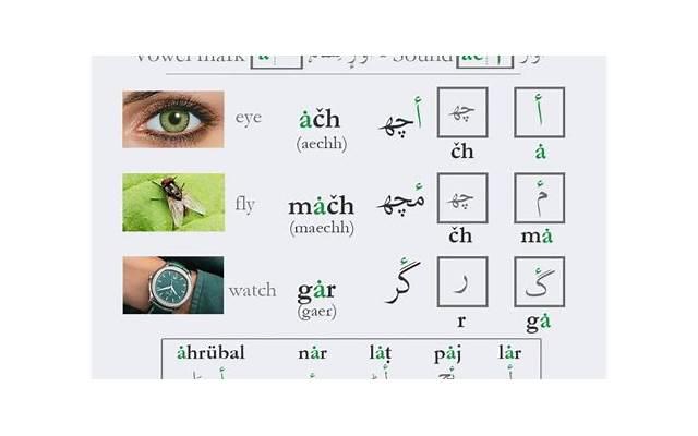 娱乐圈同性恋（娱乐圈有哪些同性恋明星呢）