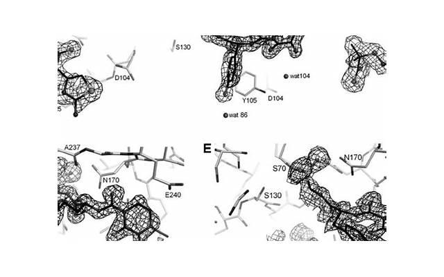 越南妹子为啥这么好追？好追的越南妹子排行榜