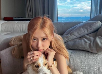 ​陈伟霆卫衣，陈伟霆对Supreme连帽卫衣真爱