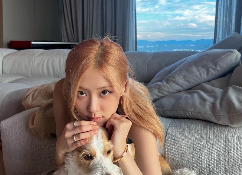 陈伟霆卫衣，陈伟霆对Supreme连帽卫衣真爱