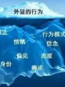 ​aq是什么(aq是什么品牌)