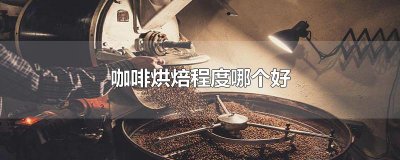 ​咖啡烘焙程度哪个好