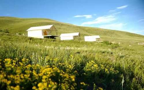 1、选择自己喜欢的营地