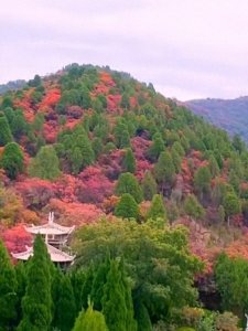 ​济南红叶谷风景区，好比世外桃源古居