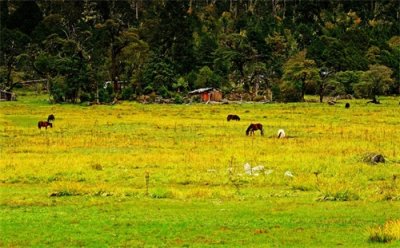 ​五首好听的藏歌，带您体验藏族音乐之美！