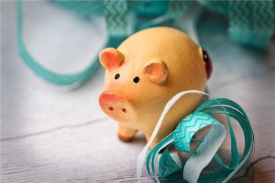 ​2024年属猪人的全年运势及运程，2024年生肖猪的全年运势如何