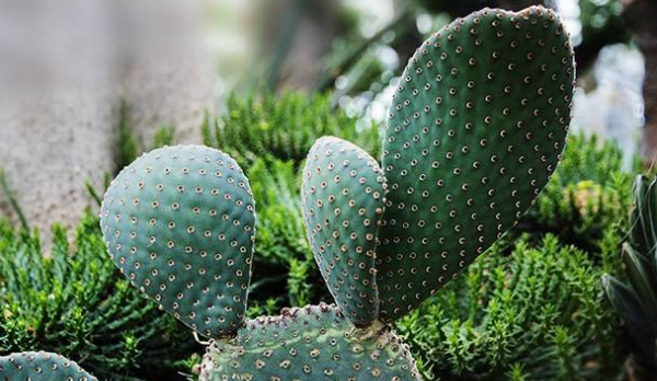 微信拍拍功能加搞笑文字,微信拍一拍设置文字搞笑内容图12