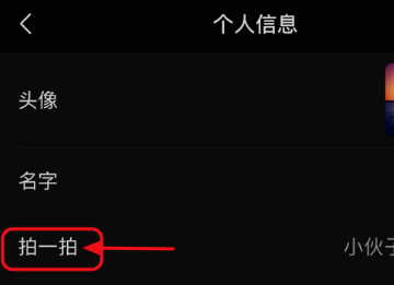 微信拍拍功能加搞笑文字,微信拍一拍设置文字搞笑内容图2