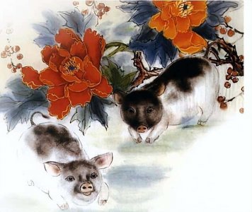 ​2023最旺的4大生肖（2023最好的五大生肖）