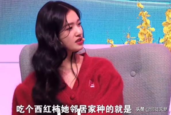 刘亦菲陈晓亲密（所以陈晓加了刘亦菲微信没有）(16)