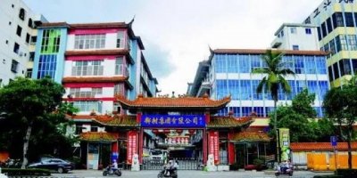 ​椰树集团赵波董事长(椰树集团董事长陈辉)