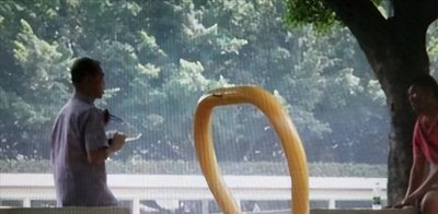 ​畸形恋：师生恋引发的血案