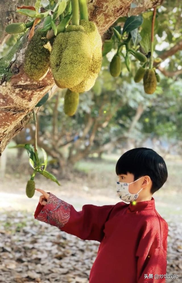 姚笛官宣结婚是哪一天（42岁知名男星官宣得子）(9)