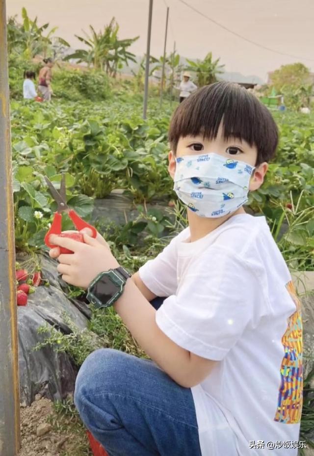 姚笛官宣结婚是哪一天（42岁知名男星官宣得子）(11)