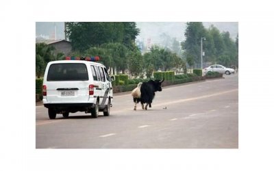 ​一位老无所依的婆婆：年轻时做错一件事，导致晚景凄凉，后悔终生