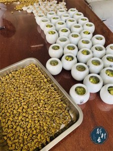 ​干石斛花泡水一次几朵？少量过量都不可取！