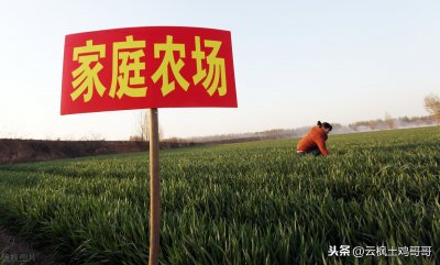 2021年最新的家庭农场补贴政策来啦！这么多补贴你准备好了吗