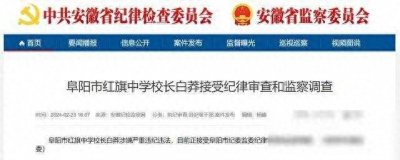 ​阜阳市红旗中学校长白莽接受审查调查