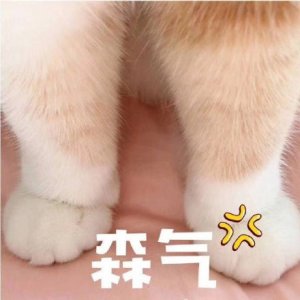 生气还很萌的表情包合集