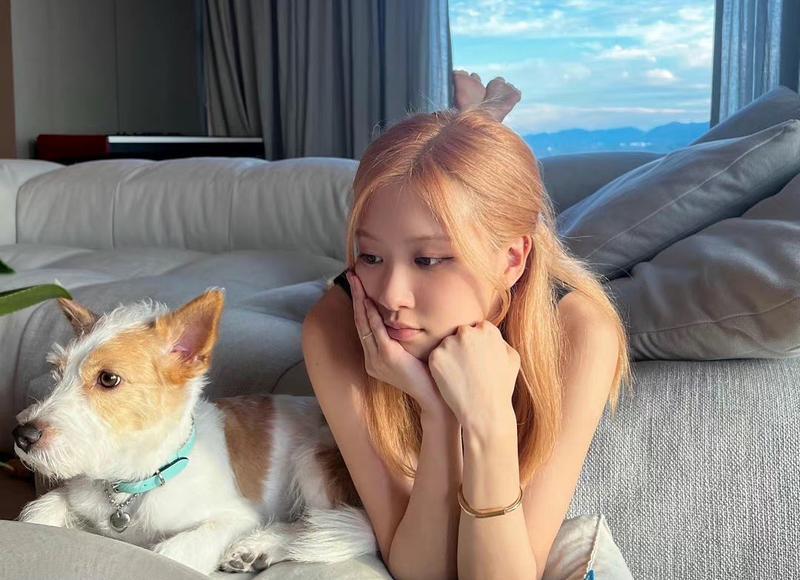 同居情侣分手共同房产归谁