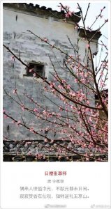 ​别样中元节，吟诗祭祖先