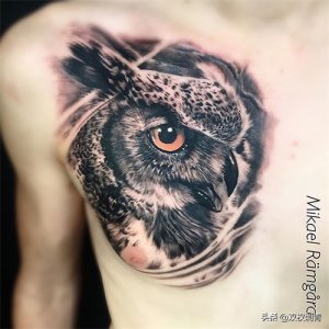 ​猫头鹰纹身智慧的象征
