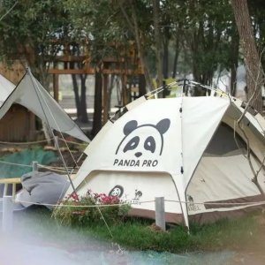 ​奉贤去哪玩丨这个宝藏露营地，带你体验诗和远方