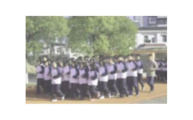 董卿：学会享受孤独，是一个人变强大的开始